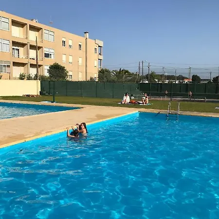 Sunny Holidays