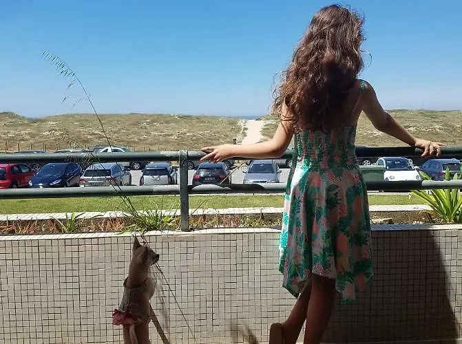 Daire Sunny Holidays